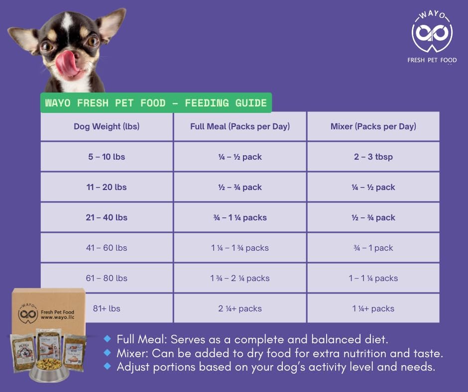 WaYo Fresh Dog Food Fresh Human Grade Meals for Dogs | Grass Fed Premium Meat | All Life Stages | High Protein, Ready to Serve Dog Food| No Fillers or Artificial Additives (Turkey 9 Pack 12 Oz)