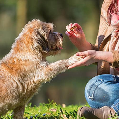 Good'n'Fun Good 'n' Tasty Triple Flavor Roll Ups 4 Oz Cheese, Beef, Pork (Pack of 4)
