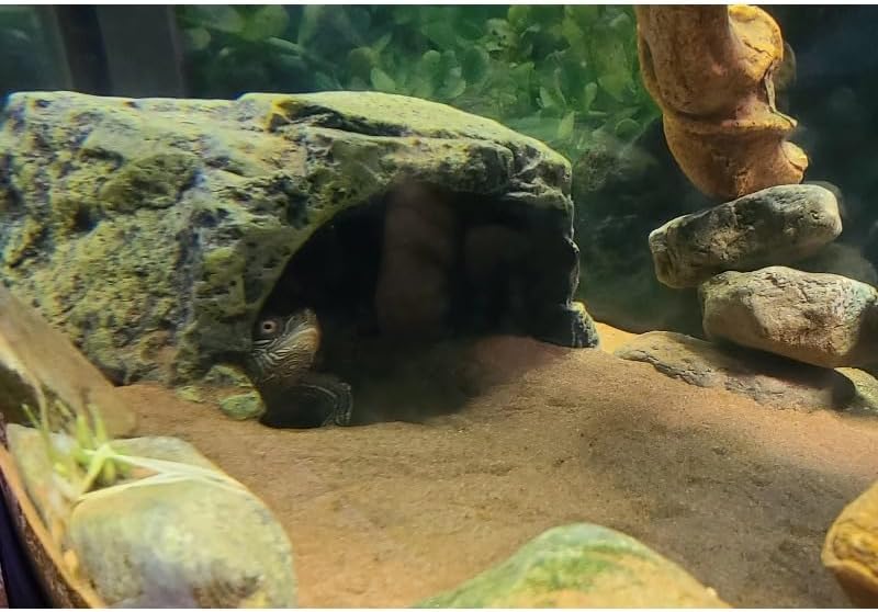 Resin Reptile Hide Cave with Rock Texture Design – Durable Habitat Shelter Decor for Terrarium Use, Natural Hideout Structure for Lizards Spiders Turtles Crabs and Reptile Enclosure Management