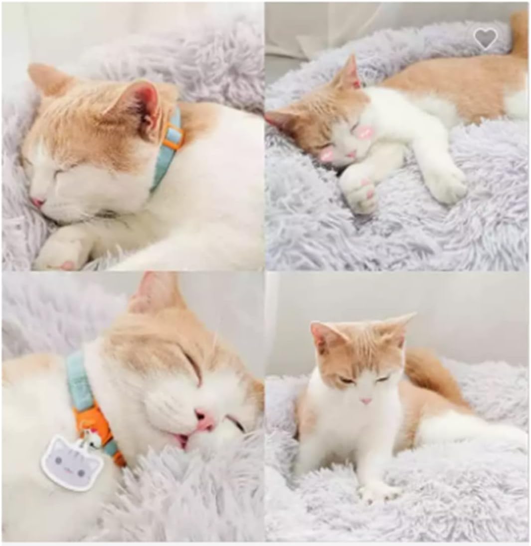 Dog Bed for Small Medium Large Dogs Cats, 20 inch Calming Washable-Round Cozy Soft Pet Bed for Puppy and Kitten with Slip-Resistant Bottom