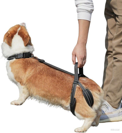 New Upgraded Dog Hind Leg Support Harness, Rear Leg Support Harness - Mobility Aid for Disabled & Paralyzed Pets, Rehabilitation Sling for Hind Leg Assistance (S-Thigh（Small)