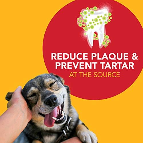 Petrodex Toothpaste for Dogs and Puppies, Cleans Teeth and Fights Bad Breath, Reduces Plaque and Tartar Formation, Enzymatic Toothpaste, Peanut Flavor, 2.5oz (Pack of 2)