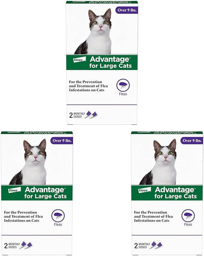 Advantage Topical Cat Flea Treatment and Prevention for Large Cats Over 9 lbs. | Apply Flea Drops Monthly | 6 Treatments (Pack of 3)