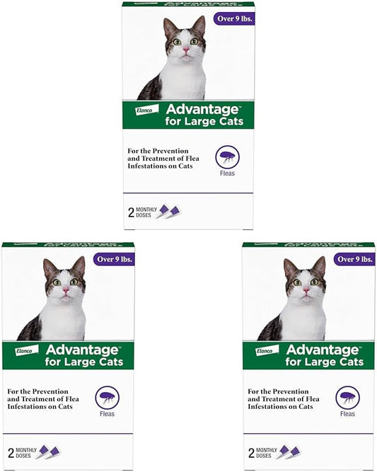 Advantage Topical Cat Flea Treatment and Prevention for Large Cats Over 9 lbs. | Apply Flea Drops Monthly | 6 Treatments (Pack of 3)