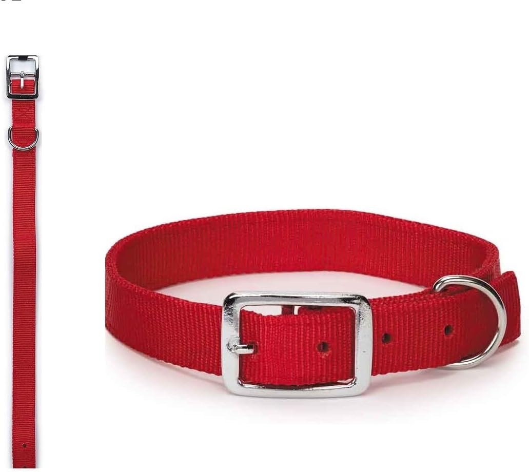 Bright Red Dog Collars Double Thick Nylon Strong Metal Buckle Heavy Duty (13 to 16 Inch)