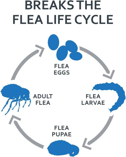 SENTRY Fiproguard Plus for Cats, Flea and Tick Prevention for Cats (1.5 Pounds and Over), Includes 3 Month Supply of Topical Flea Treatments