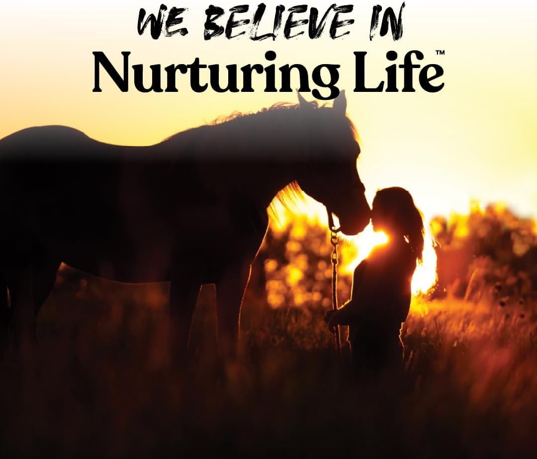 Manna Pro Bite-Size Nuggets for Horses, Pocket Sized Training Horse Treats, Peppermint Flavored Treats, Packs with Vitamins & Minerals, Great Taste Guaranteed, 4 lbs