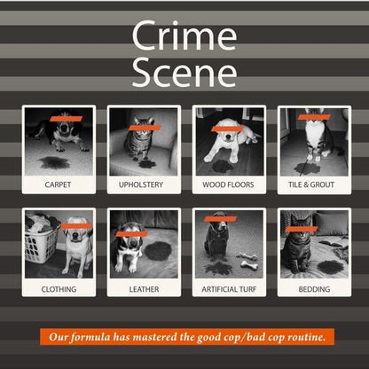 Pet Stain and Odor Eliminator Spray 32oz (1 Pack), Urine Odor Eliminator for Dogs and Cat Pee, Dog Urine Enzyme Cleaner for Dog Urine, Professional Strength Pet Oder Pet Stain Remover for Carpet Odor