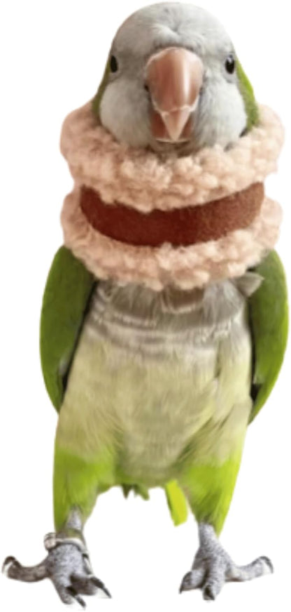 Pet Parrot Anti-Bite Elizabethan Collar, Neck Shield Anti-Grab Feather Plucking Wound Healing Safety Recovery Collar Cones for Budgerigar Lovebird Random Color (S)