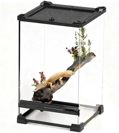 Reptile Tall Glass Terrarium Rainforest Habitat Single Door with Screen Ventilation,Small Reptile Terrarium for Spiders, Tarantulas, Snail, Mantis, Lizard (8 * 8 * 12 inch)