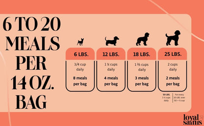 Freeze Dried Raw Dog Food - Beef & Turkey Salmon Flavors, 14 oz. | High Protein and Grain Free Dog Food for All Breeds and Picky Eaters - Versatile as Meal Topper, Snack, and Treats