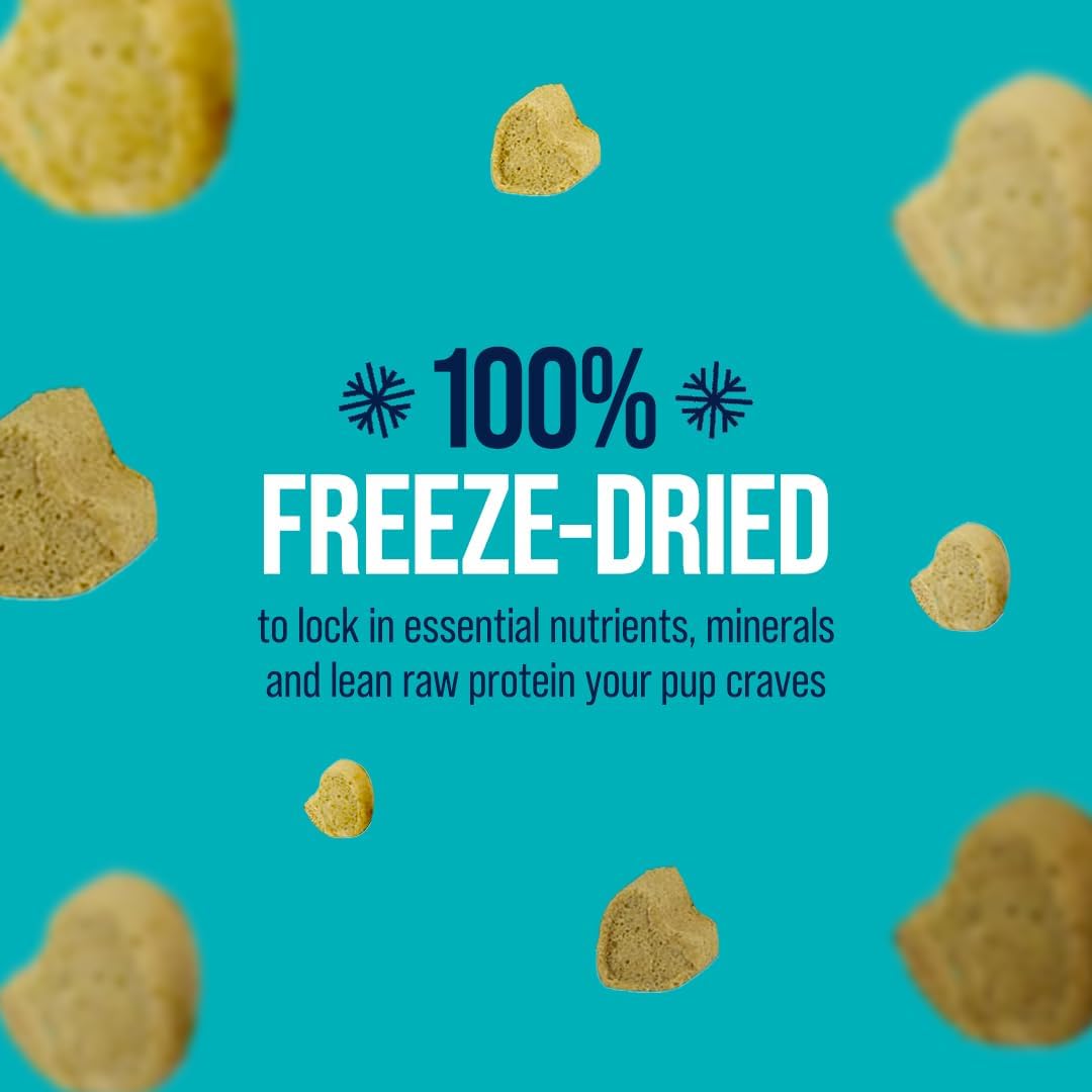 Stewart Raw Naturals Freeze Dried Raw Dog Food or Meal Topper, Chicken and Salmon Recipe, 32 Ounce Bag, Complete and Balanced Nutrition