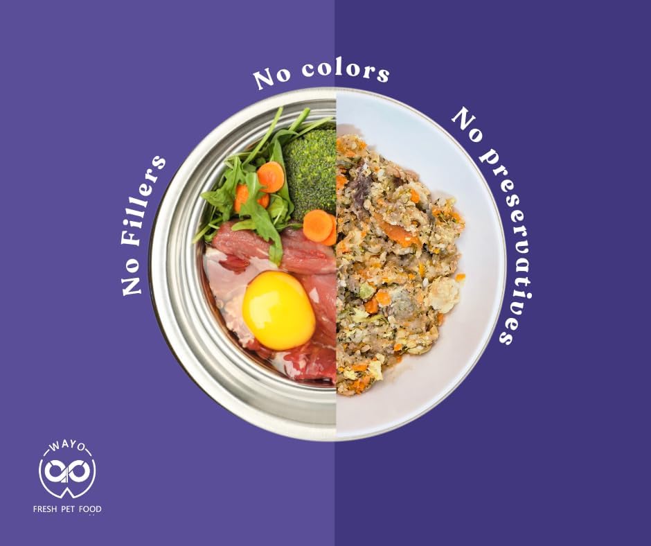 WaYo Fresh Dog Food Fresh Human Grade Meals for Dogs | Grass Fed Premium Meat | All Life Stages | High Protein, Ready to Serve Dog Food| No Fillers or Artificial Additives (Turkey 9 Pack 12 Oz)