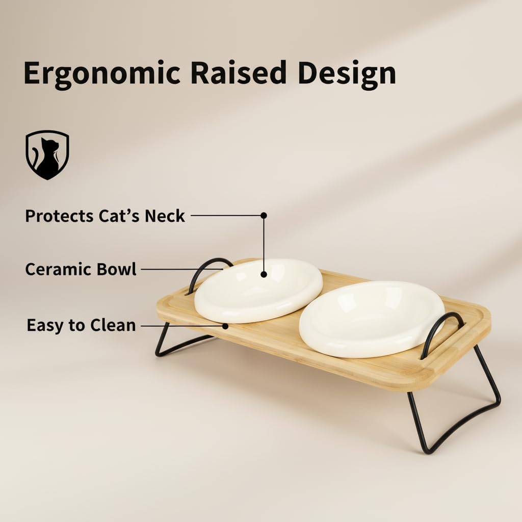Raised Cat Ceramic Bowls with Wood Stand Kitty Elevated Bowls for Food and Water with Tilted Design Anti-Vomiting, Pet Bowl Set with Stainless Steel Base for Cats and Puppy by TDTOK