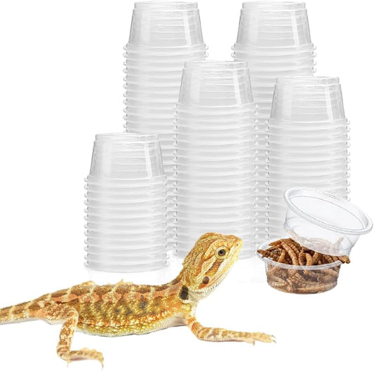 100 Pcs Gecko Food and Water Cups Small Plastic Feeder Cups Reptiles Accessories Reptile Water Bowl Gecko Food Cups Reptile Feeding Bowls for Gecko Lizards Tarantula and Other Small Pets (0.5oz)