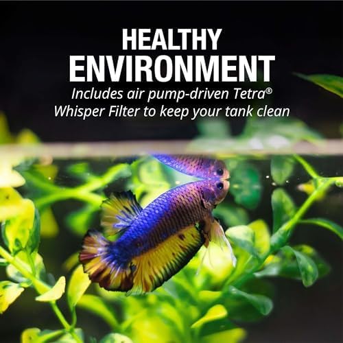 Tetra Bubbling LED Aquarium Kit 1 Gallon, Hexagon Shape, With Color-Changing Light Disc