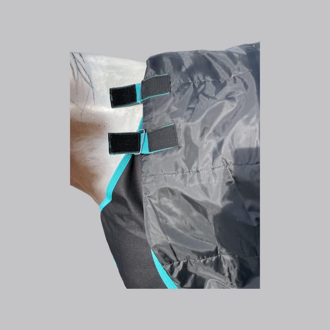 Horse RAIN Sheet with Neck Cover | 1200Denier Horse Rainsheet with Hood | Horse Turnout Sheet With Neck |Horse Rainsheet Combo (Waterproof | Breathable) (Black-with-Turquoise-Trim, 78)
