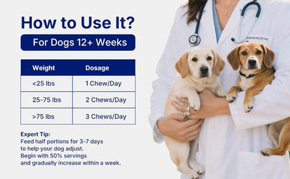 Probiotics for Dogs,Dog Probiotic Supplements,Canine Nutritional Supplement,Health Supplies,Gastrointestinal Health Promotes Digestion and Nutrient Absorption, 90 Soft Chews