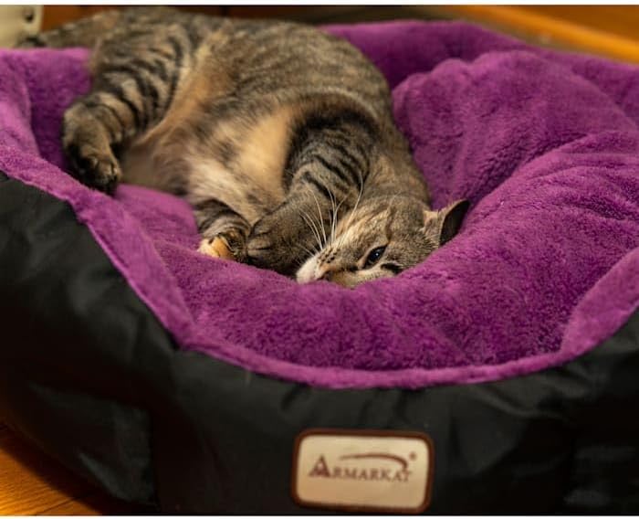 Armarkat Large, Soft Cat Bed - C101NH/ZH, Mulberry/Black (C101HNH/ZH)