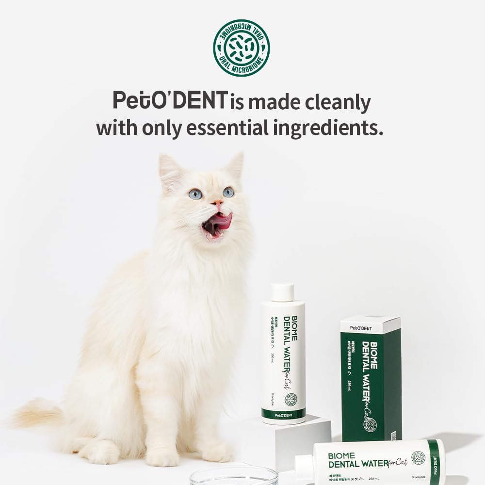 PetO’Dent Dental Water Additive for Cats–No Brushing Needed, Fresh Breath, Tartar Control & Gum Care with Catnip & Silvervine Extracts, 8.45 fl oz / 250ml