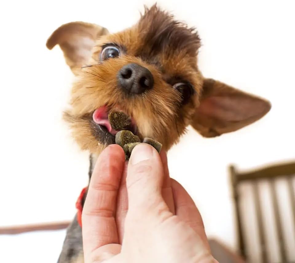 Pet Greens Treats Tasty Beef Semi-Moist Dog Treat 6oz