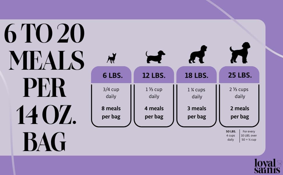 Freeze Dried Raw Dog Food - Chicken & Turkey Salmon Flavors, 14 oz. | High Protein and Grain Free Dog Food for All Breeds and Picky Eaters - Versatile as Meal Topper, Snack, and Treats