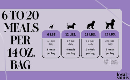 Freeze Dried Raw Dog Food - Chicken & Turkey Salmon Flavors, 14 oz. | High Protein and Grain Free Dog Food for All Breeds and Picky Eaters - Versatile as Meal Topper, Snack, and Treats