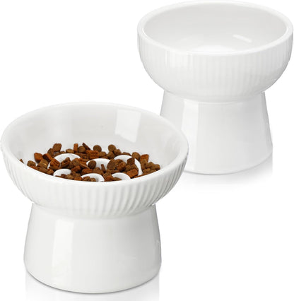 2 Pcs Raised Cat Slow Feeder Bowl Ceramic Elevated Cat Bowls, No Spill High Edge, Anti Vomiting for Pets Kitten Puppies Dry Wet Food and Water, Dishwasher Safe