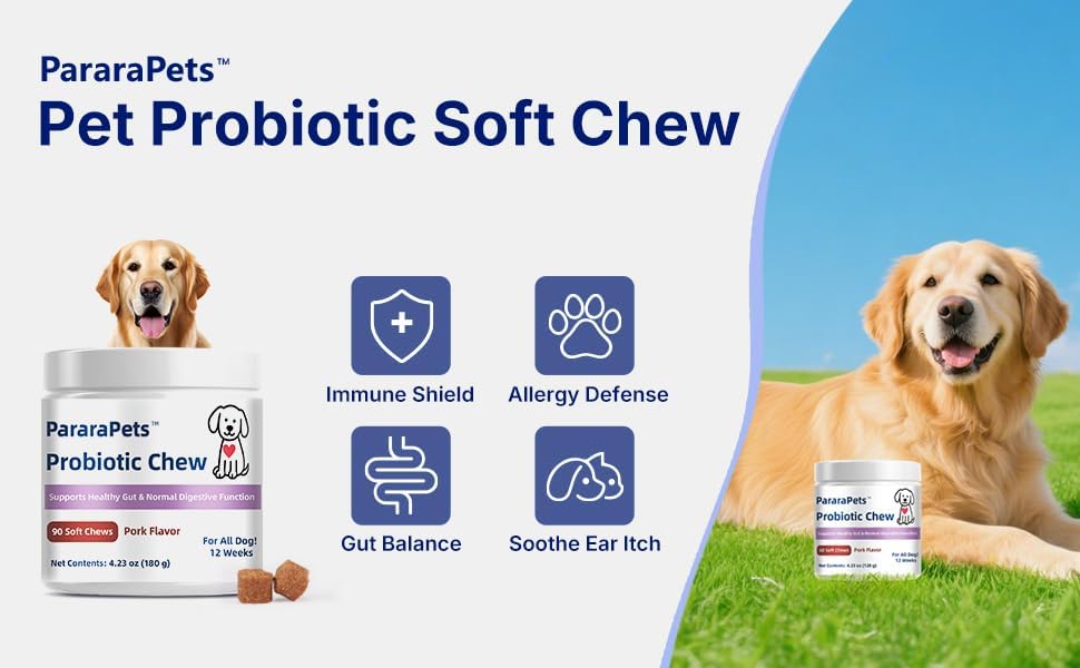 Probiotics for Dogs,Dog Probiotic Supplements,Canine Nutritional Supplement,Health Supplies,Gastrointestinal Health Promotes Digestion and Nutrient Absorption, 90 Soft Chews
