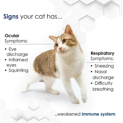 Felisyl Immune System Support(L-Lysine) Granules for Cats 3.5oz(100g)