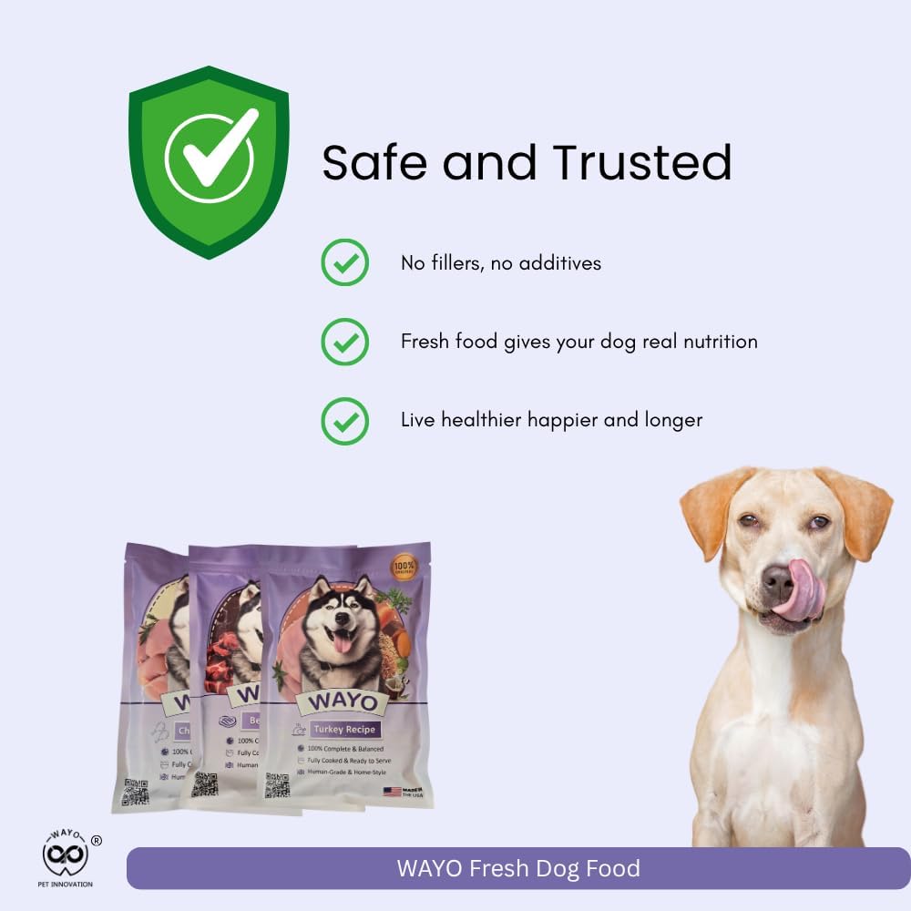 WaYo Fresh Dog Food, Fresh Human-Grade Meals for Dogs | Grass-Fed Premium Meat | All Life Stages | High-Protein, Ready-to-Serve | No Fillers or Art. Additives (11 Pack - 12oz) (Turkey)
