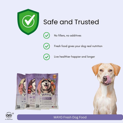 WaYo Fresh Dog Food, Fresh Human-Grade Meals for Dogs | Grass-Fed Premium Meat | All Life Stages | High-Protein, Ready-to-Serve | No Fillers or Art. Additives (11 Pack - 12oz) (Turkey)