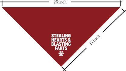 Valentine's Day Dog Bandana, Stealing Hearts and Blasting Farts Quote Pet Bandana, Valentine's Day Pet Photoshoot Accessories, Adjustable Comfortable Triangle Dog Scarf