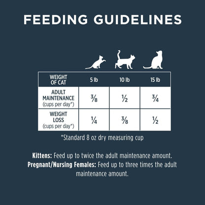 Instinct Raw Boost, Natural Dry Cat Food with Freeze Dried Pieces, High Protein, Grain Free Recipe - Real Salmon, 4.5 lb. Bag