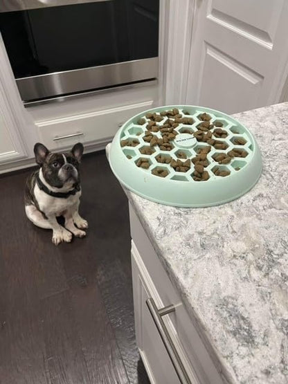 Small Big Dog's Enrichment Bowl and Lick Mat- Top Slow Feeder, Bottom Lick Mat, Soft on Nose Design Breeds, Focus on Dogs w/Short Snouts Like Frenchies, Silicone, Dishwasher Safe