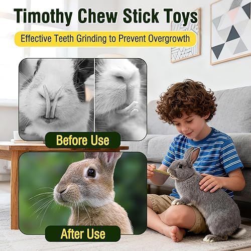 Small Animal Timothy Hay Treats for Hamsters, Golden Hamsters, Guinea Pigs, Natural Healthy Chewing Sticks C