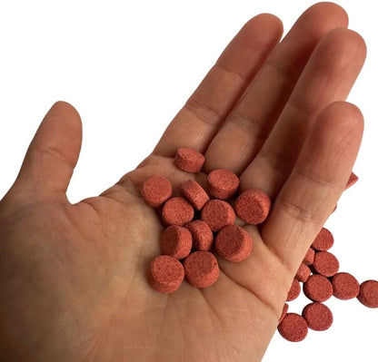 Plecoceramics Protein Wafers Universal Fish Food for Aquarium Fish - Turtle, Goldfish, Catfish - Algae Wafers for Bottom Feeders - Protein Pellets (100 gr, with Spirulina)