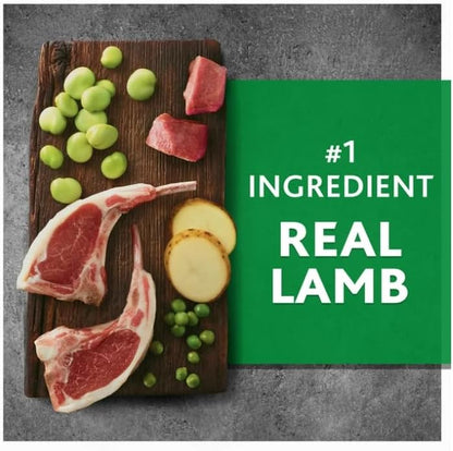 Pur Balence Lamb & Fava Bean Recipe Dry Dog Food, Grain-Free, 4 lbs