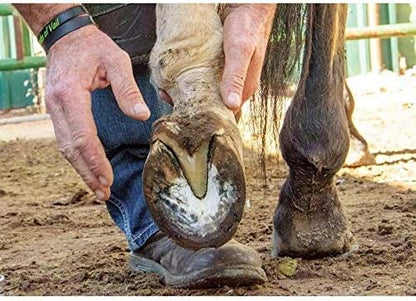 Hoof Trimming Disc Professional Electric Hoof Repair Tool High Working Efficiency and Durable