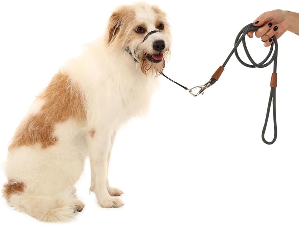 Dog Head Collar, Stylish Design with Buckle Closure, Easy to Use Puppy Dog Collar, Adjustable Dog Halters Suitable for Dogs Training Outdoor Walking (Black, Small)