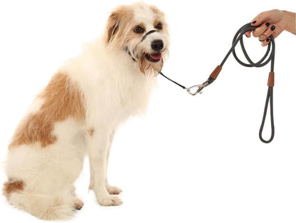 Dog Head Collar, Stylish Design with Buckle Closure, Easy to Use Puppy Dog Collar, Adjustable Dog Halters Suitable for Dogs Training Outdoor Walking (Black, Small)