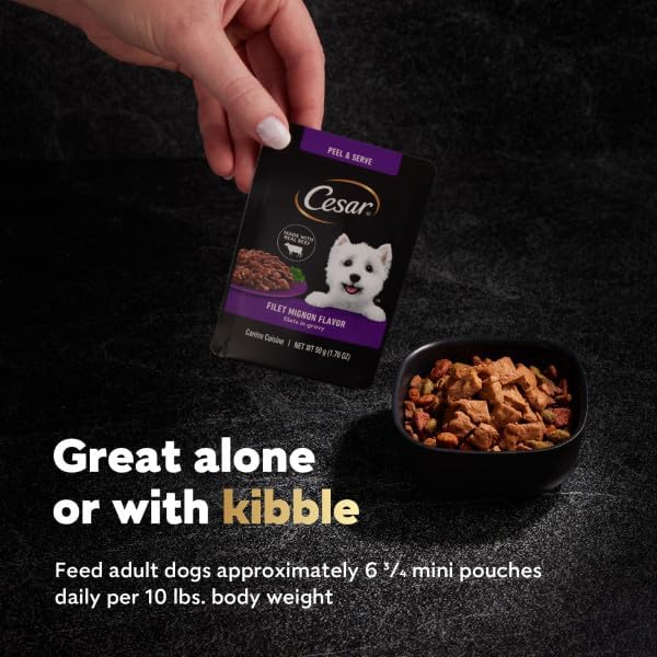 Cesar Filets in Gravy Wet Dog Food Rotisserie Chicken Flavor, Filet Mignon Flavor, and Wood-Grilled Chicken Flavor Variety Pack, 1.76 oz. Mini-Pouches, 40 Pack