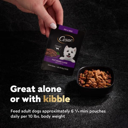 Cesar Filets in Gravy Wet Dog Food Rotisserie Chicken Flavor, Filet Mignon Flavor, and Wood-Grilled Chicken Flavor Variety Pack, 1.76 oz. Mini-Pouches, 40 Pack