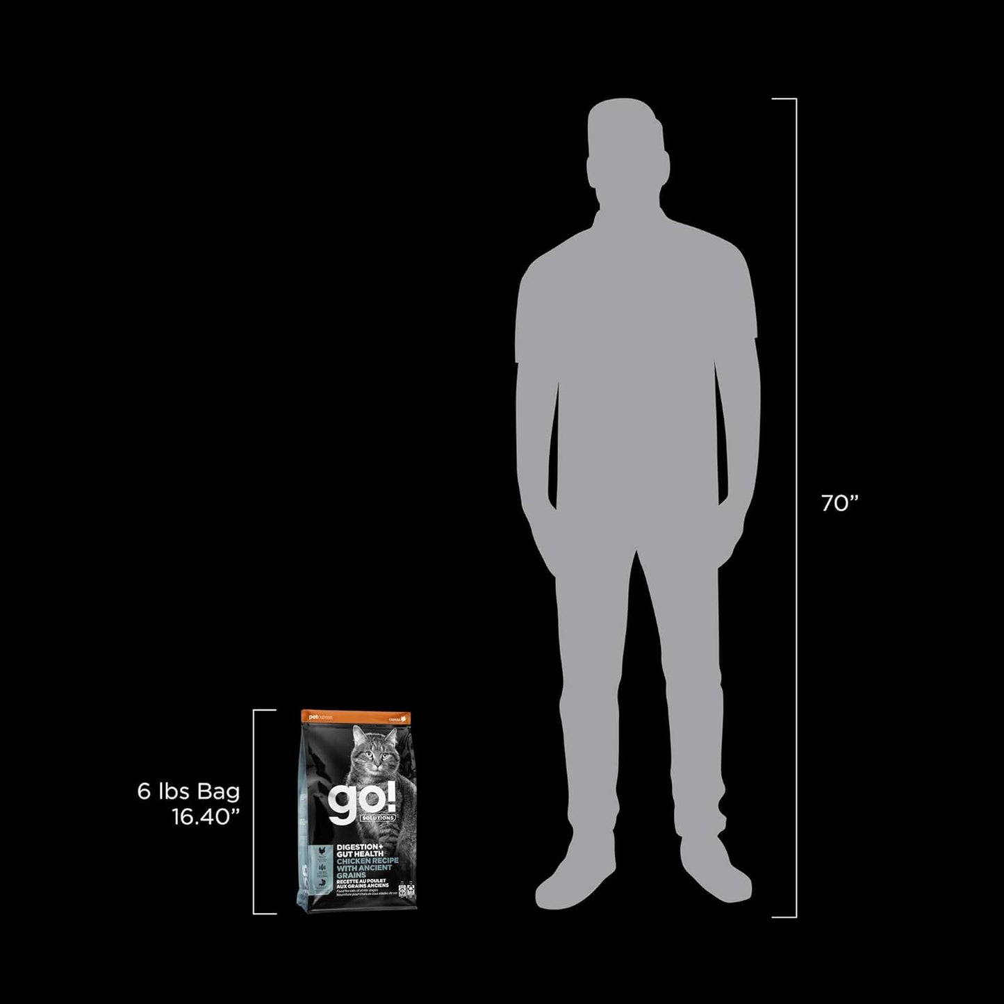 Go! Solutions Digestion + Gut Health, Dry Cat Food, Chicken Recipe with Ancient Grains, 6 lb Bag