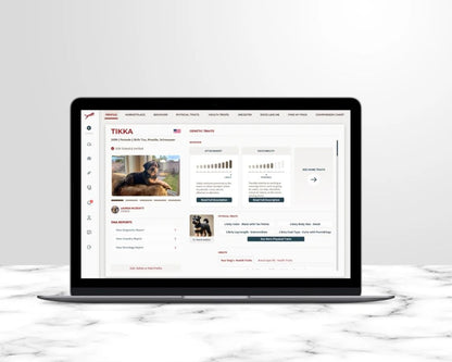 AlphaDog DNA Complete Dog DNA Test Kit – Clinical Grade, Breeder Preferred, and Vet-Approved - Includes Breed Analysis, Health Traits, Behavior Traits, & Coat Traits