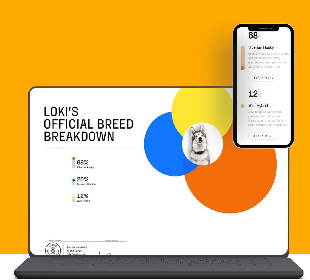 DNA MY DOG Essential + Wolf Breed ID Test– Trusted & Affordable Breed + Wolf Test | 350+ Breeds Identified w/ 99%+ Accuracy | Complete Breed Analysis + Wolf, Personality | Results in 2 Weeks