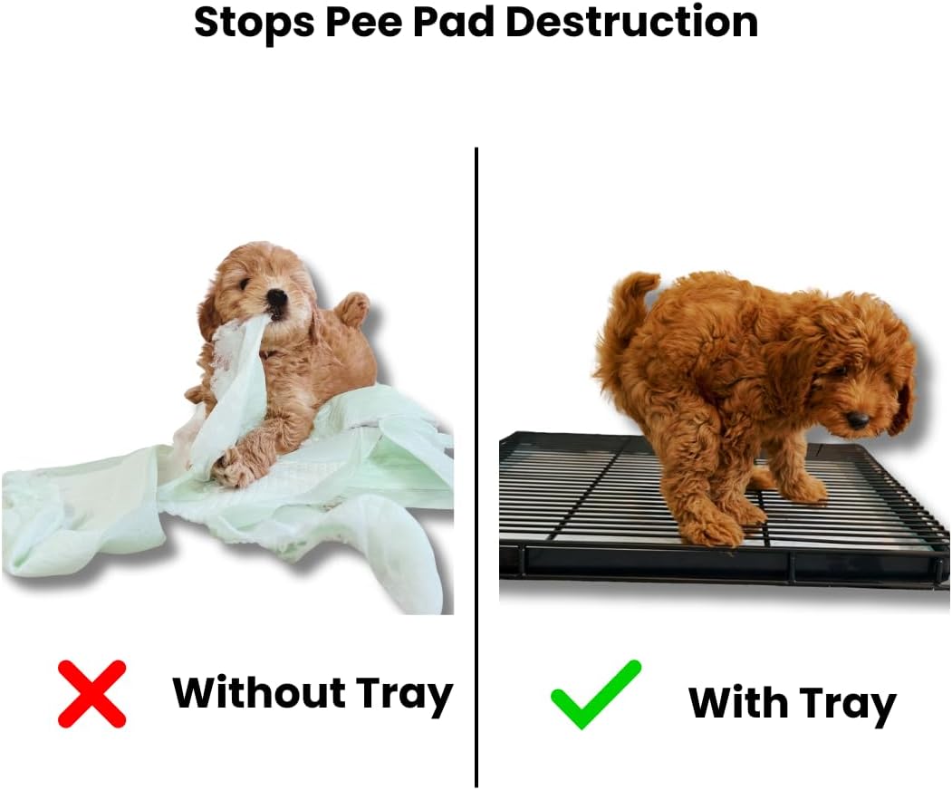 Little Wolves Puppy Potty Tray – 22x22 Shred-Proof Heavy-Duty Training Tray for Puppies & Small Dogs, Easy-Clean, Indoor Dog Pee Pad Holder (Small Gap)