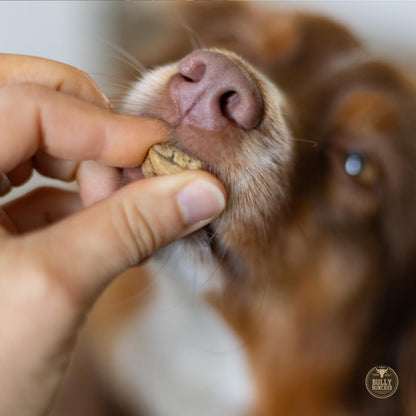 Bully Bunches Freeze Dried Beef Liver Dog Treats - Made in USA, Human Grade, Natural Single Ingredient, High Protein Training Treats for Dogs & Puppies, Grain Free - 3.53 oz