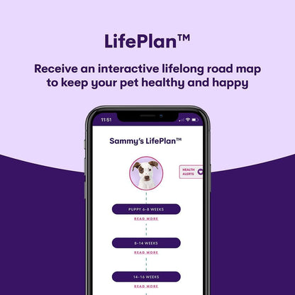 ORIVET GenoPet Dog DNA Test Kit | Vet-Approved | Identify 365+ Dog Breeds | Canine Ancestry & Genetic Health Traits | at-Home Swab | Results in 21–25 Days from Kit Arrival