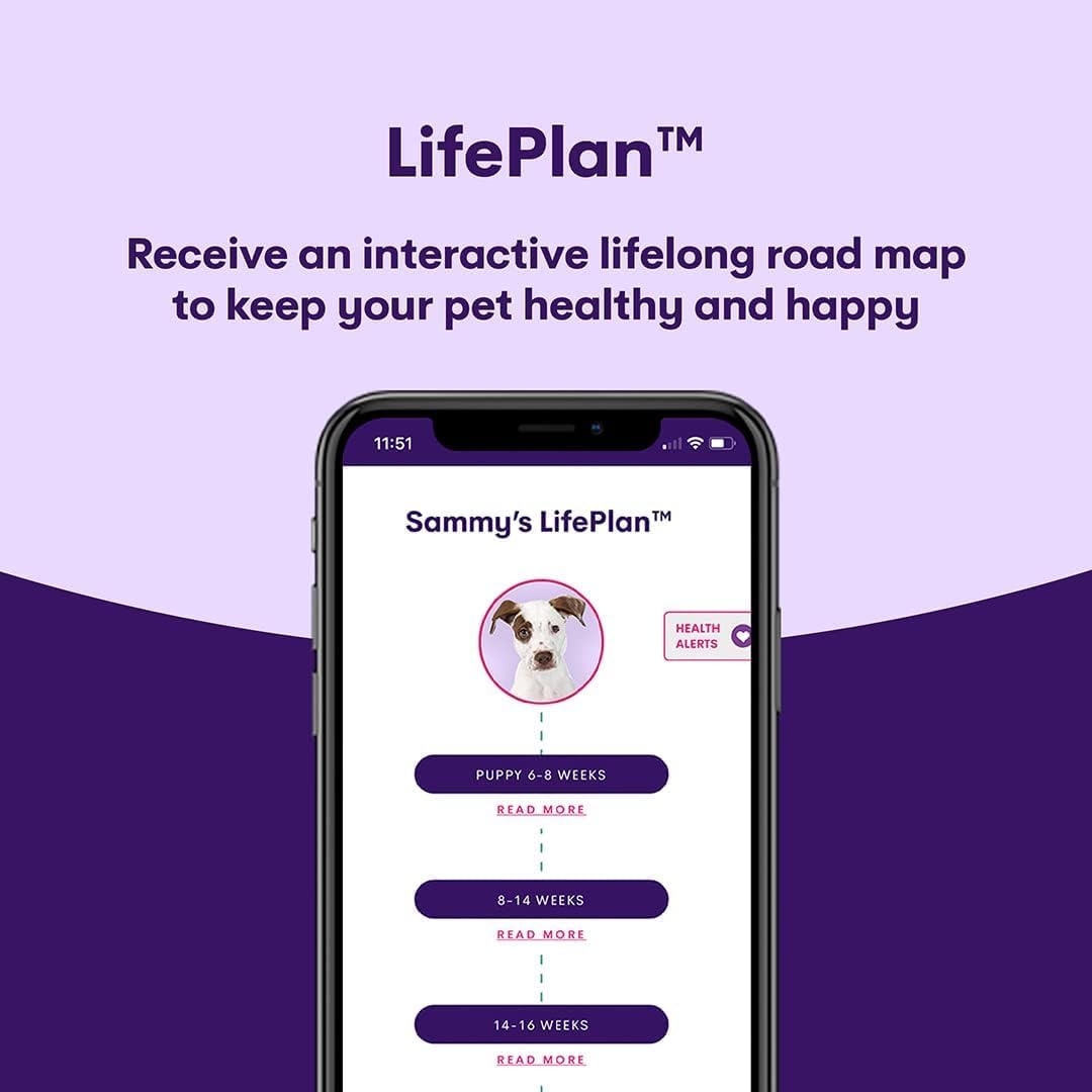 ORIVET GenoPet Dog DNA Test Kit | Vet-Approved | Identify 365+ Dog Breeds | Canine Ancestry & Genetic Health Traits | at-Home Swab | Results in 21–25 Days from Kit Arrival